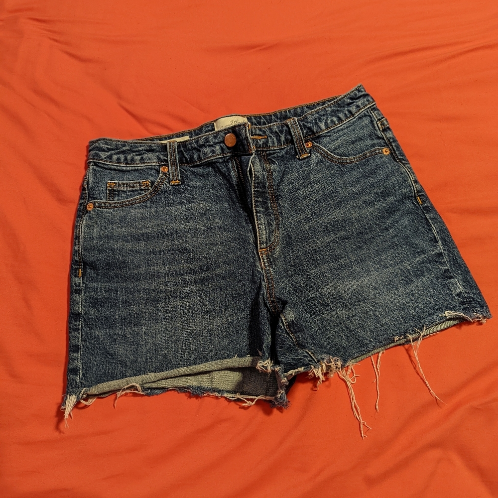 Universal Thread Denim Shorts